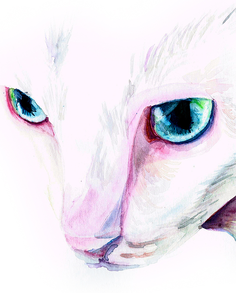 cat-eyes2